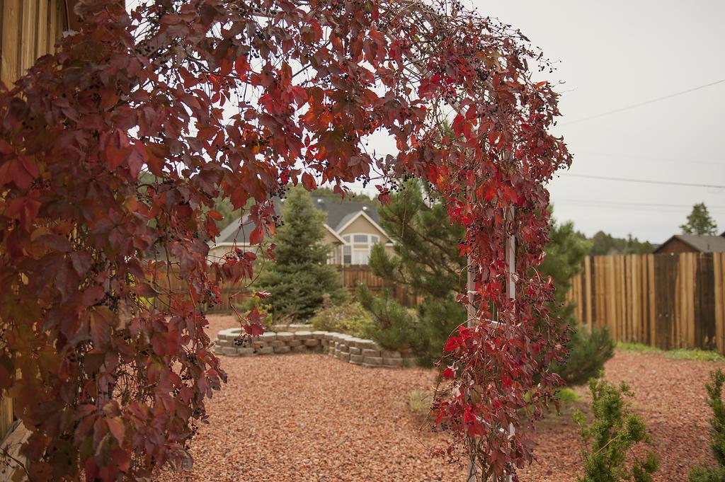 Grand Canyon Bed And Breakfast Williams Eksteriør billede